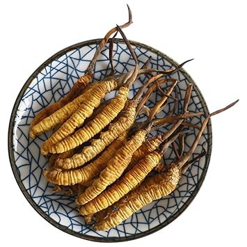 3 Grams Cordyceps Sinensis Chinese Caterpillar Fungus(Dong Chong Xia Cao),Wild Cordyceps,100% Wild Himalayan Cordyceps Sinensis.