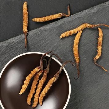 Cordyceps Sinensis Chongcao (3g)